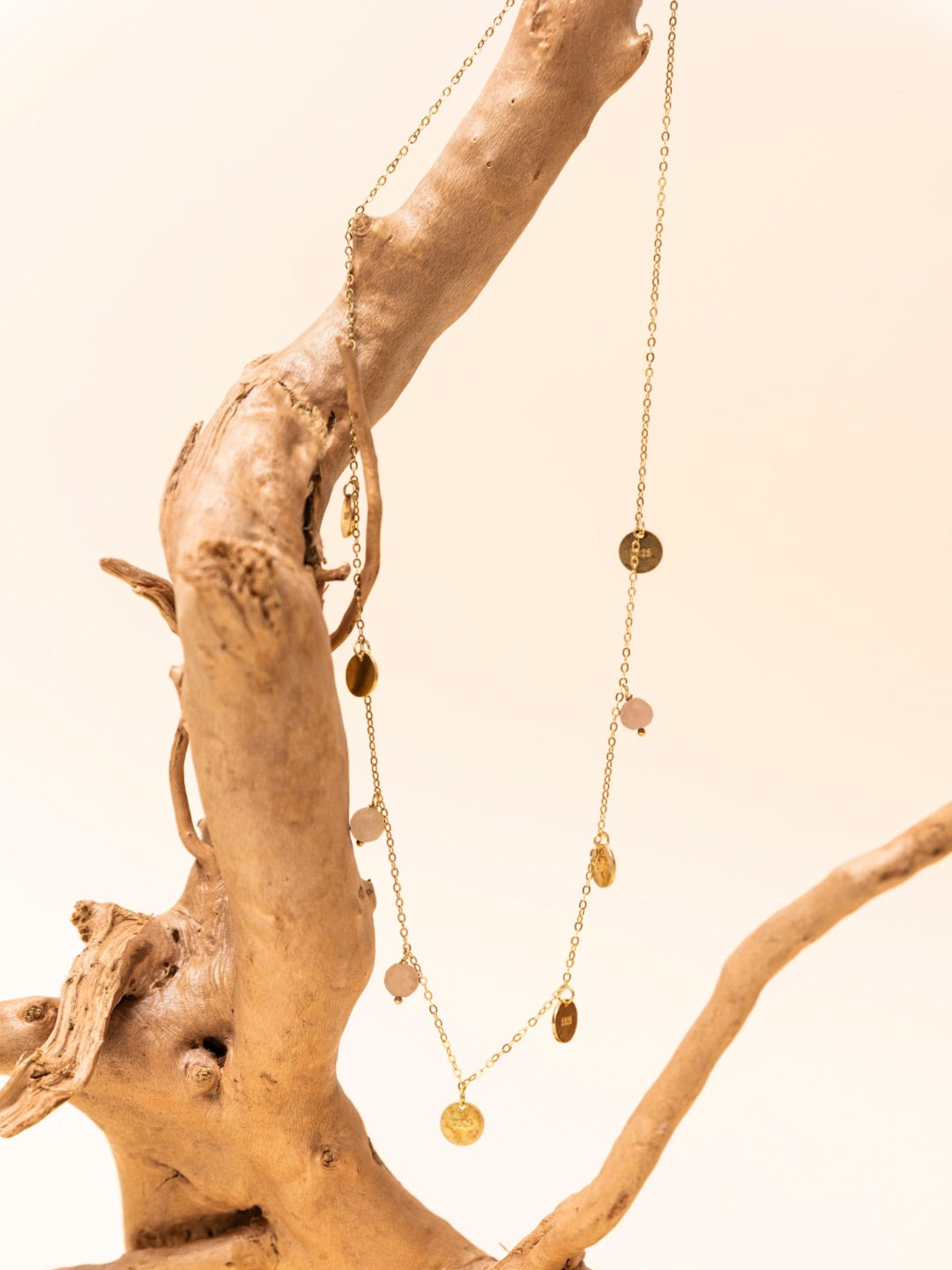 Arrabela Amethyst Small Coin Necklace