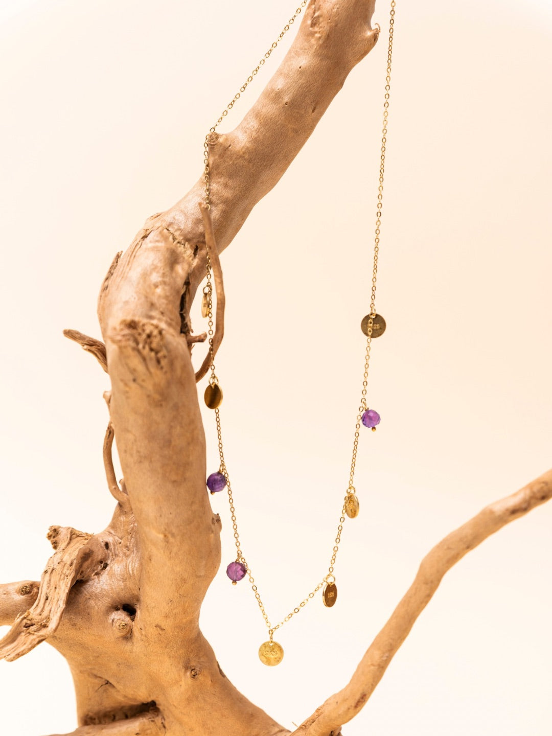 Arrabela Amethyst Small Coin Necklace